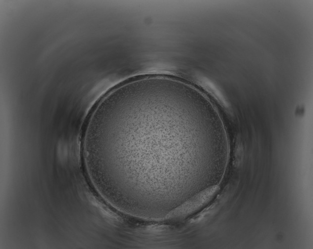 X0000093491268200710191220