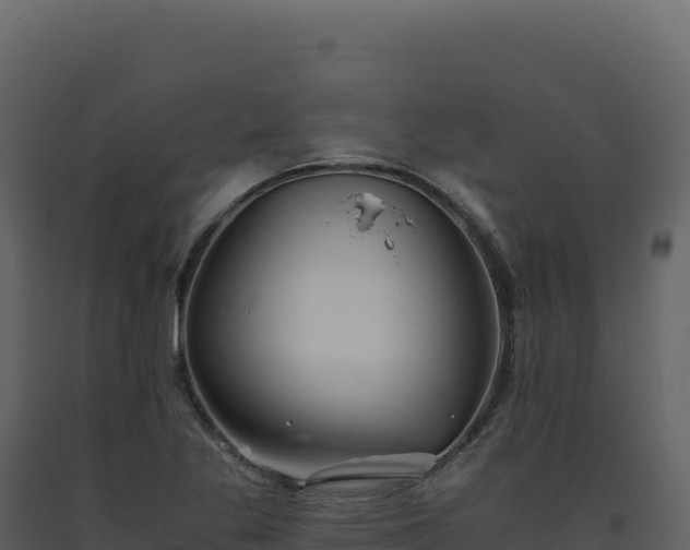 X0000093491269200710191220