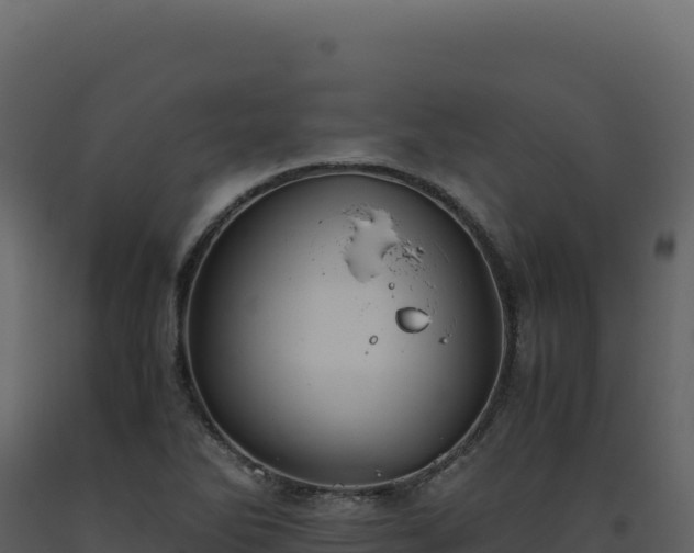 X0000093491270200710191220