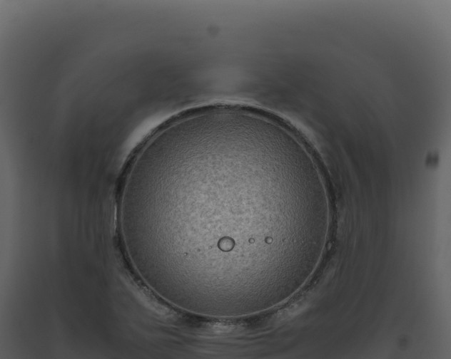 X0000093491271200710191220