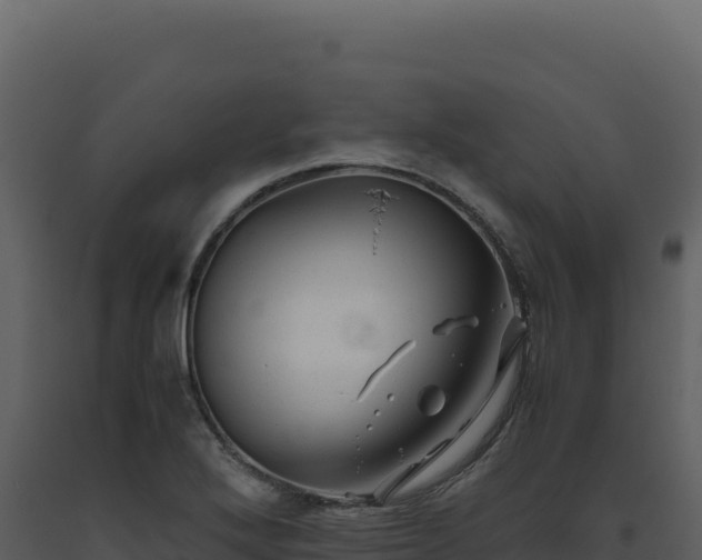 X0000093491272200710191220