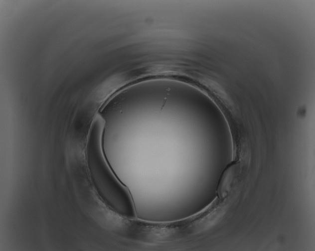 X0000093491273200710191220