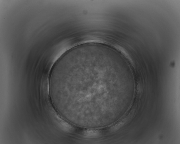 X0000093491274200710191220