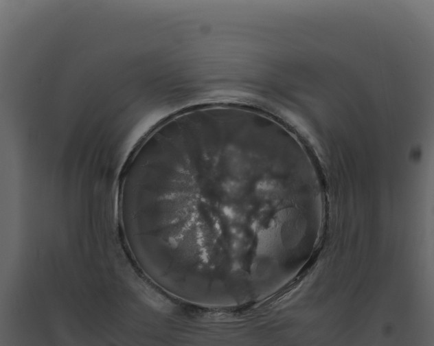 X0000093491275200710191220