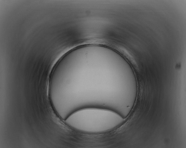 X0000093491276200710191220