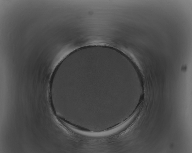 X0000093491277200710191219