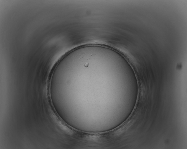 X0000093491278200710191219