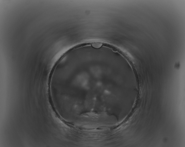 X0000093491279200710191219