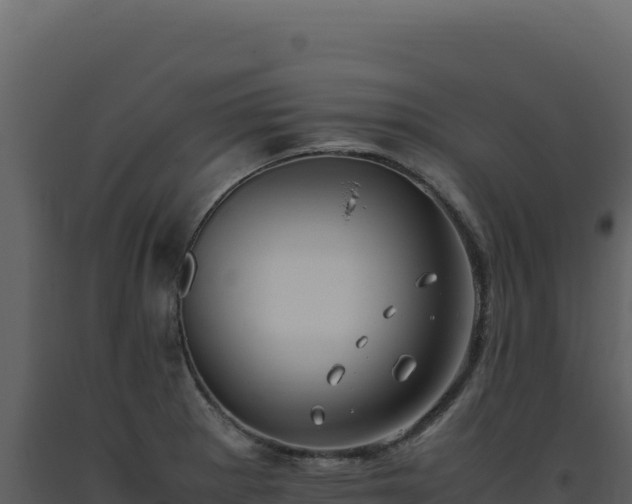 X0000093491281200710191219