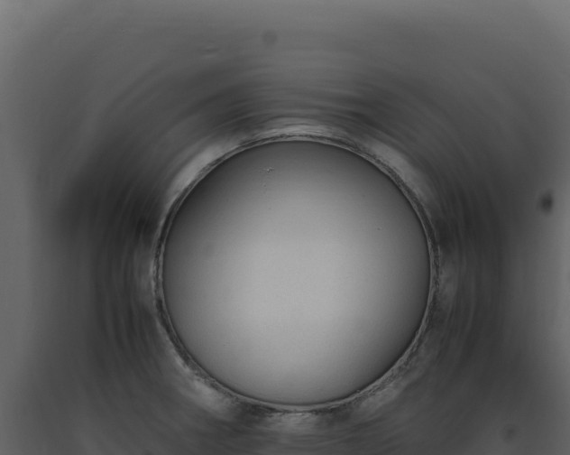 X0000093491282200710191219