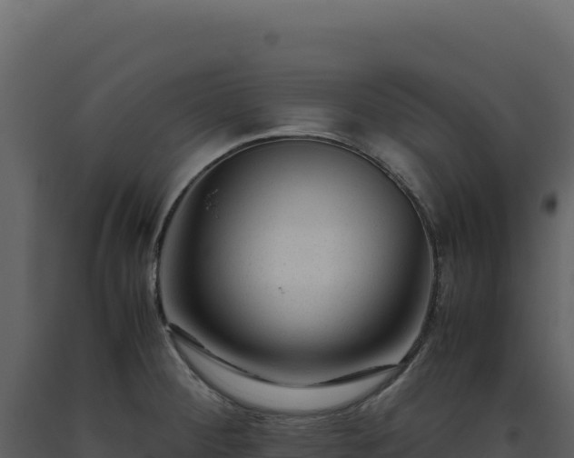 X0000093491284200710191219