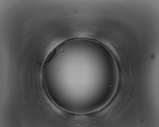 X0000093491285200710191219