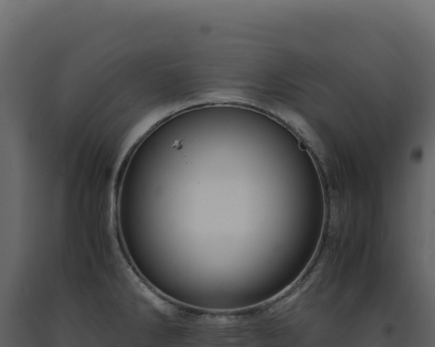 X0000093491286200710191219