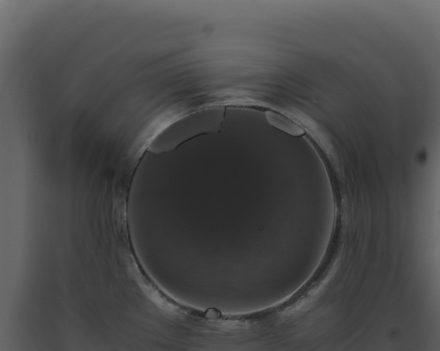 X0000093491289200710191219