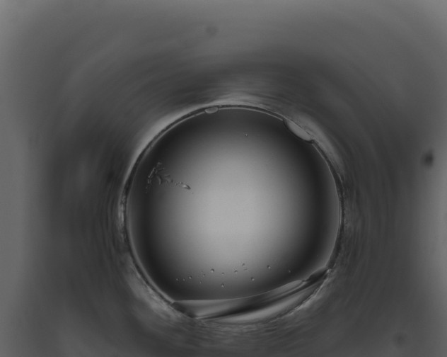X0000093491292200710191219