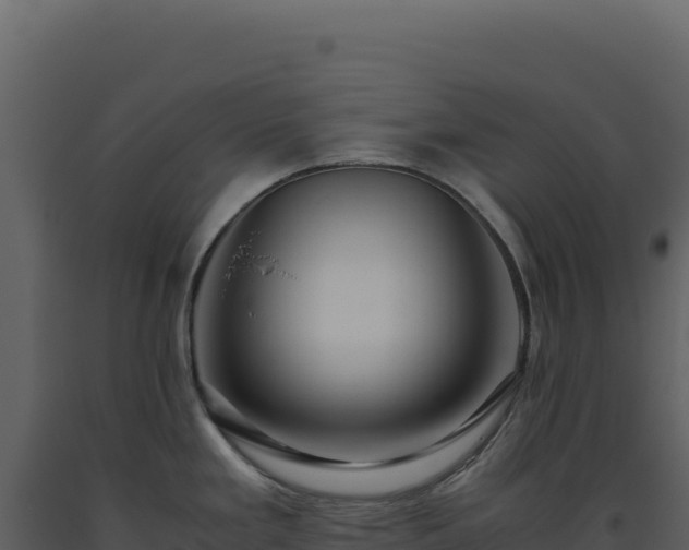 X0000093491293200710191219