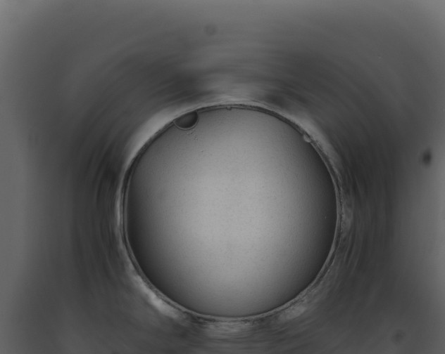X0000093491294200710191219