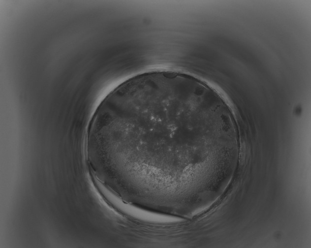 X0000093491295200710191219