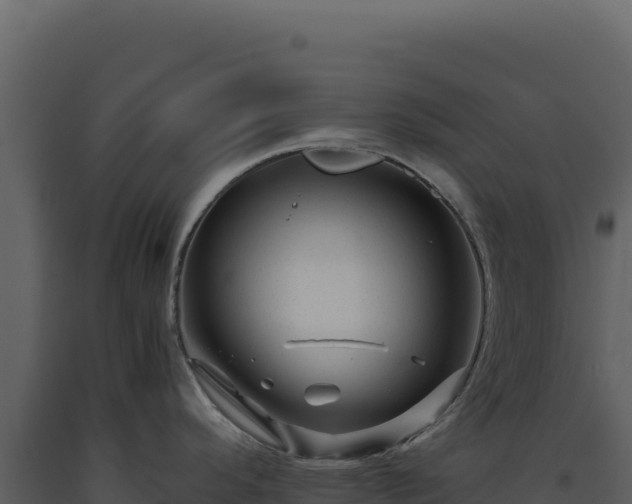 X0000093491296200710191219