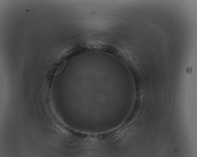 X0000093491297200710191219