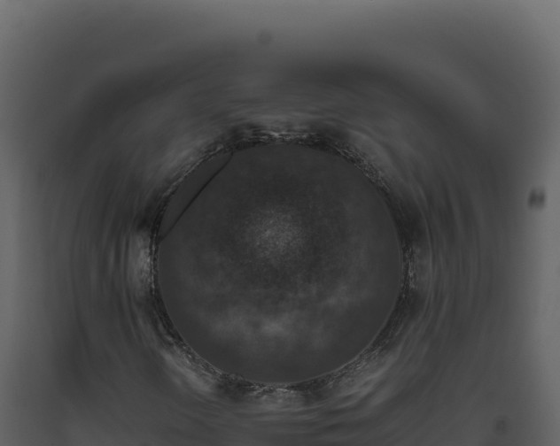 X0000093491298200710191219
