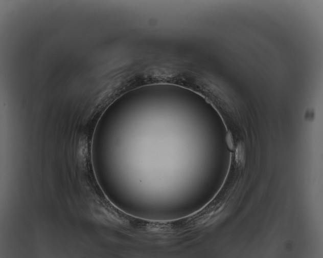 X0000093491299200710191219