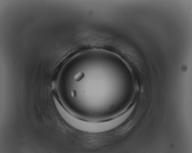 X0000093491300200710191219