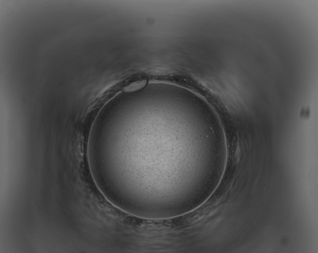 X0000093491301200710191219