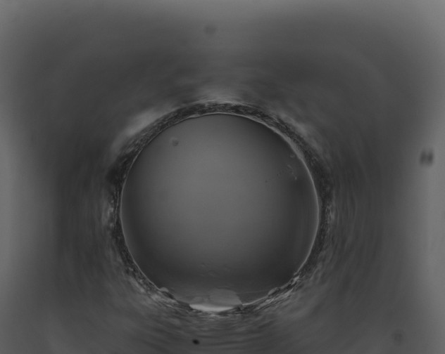 X0000093491303200710191219
