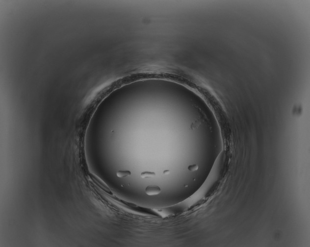 X0000093491304200710191219