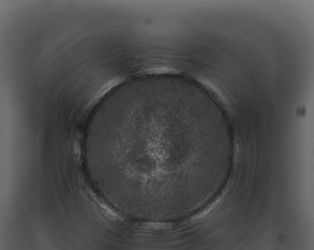 X0000093491305200710191219