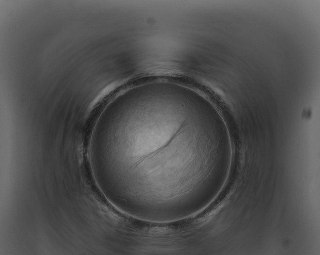 X0000093491306200710191219