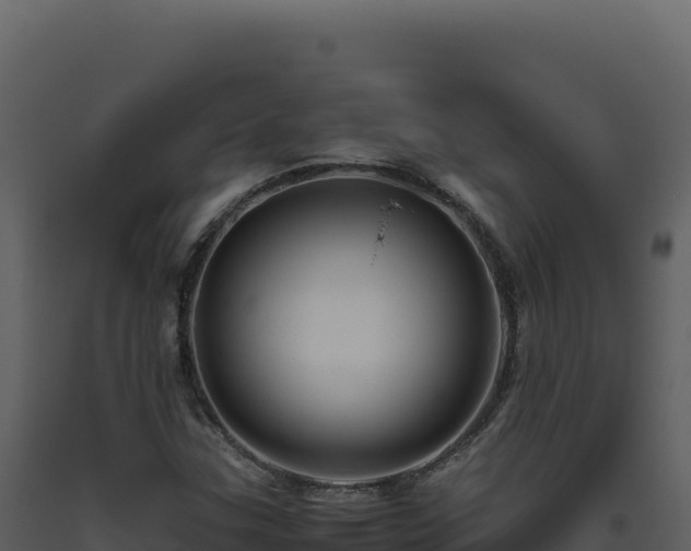 X0000093491307200710191219