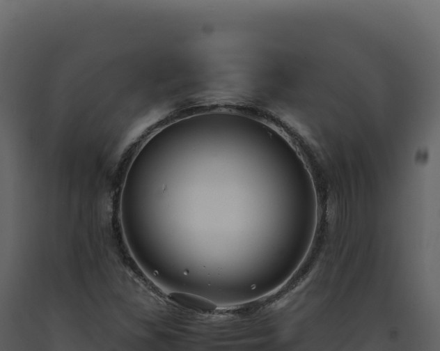 X0000093491309200710191219
