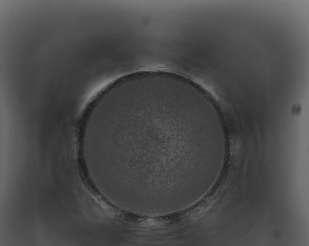 X0000093491311200710191219