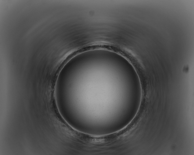 X0000093491313200710191219
