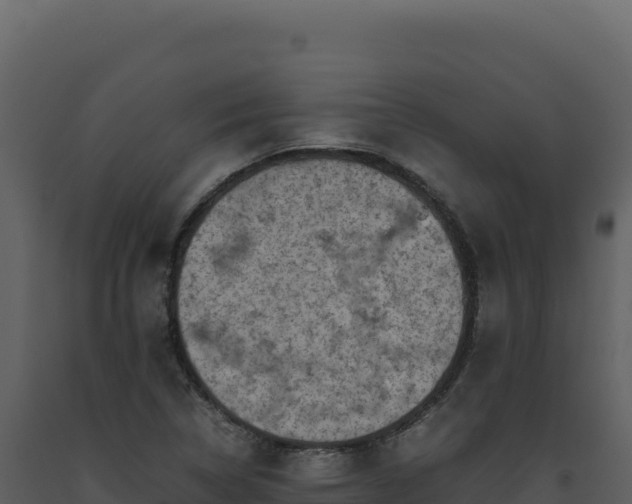 X0000093491314200710191219