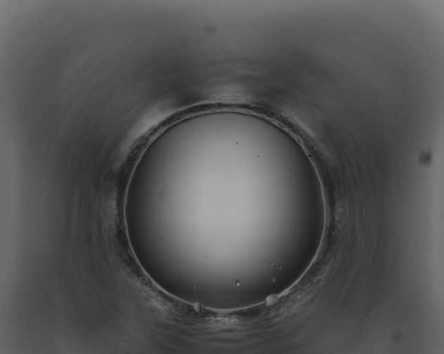 X0000093491315200710191219