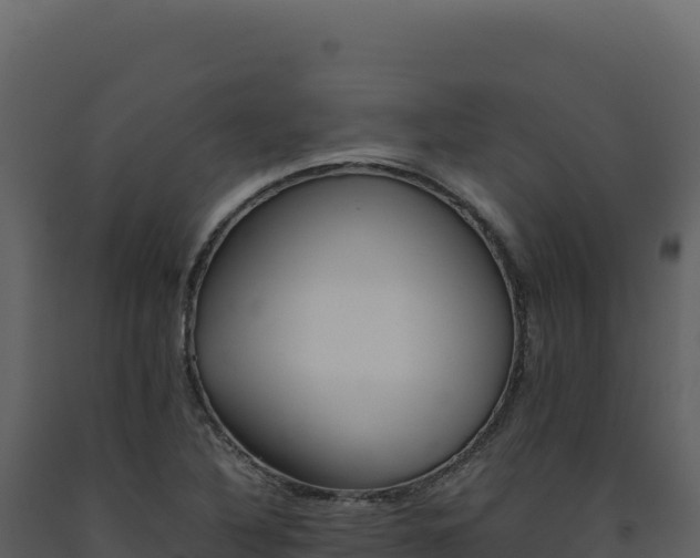 X0000093491316200710191219