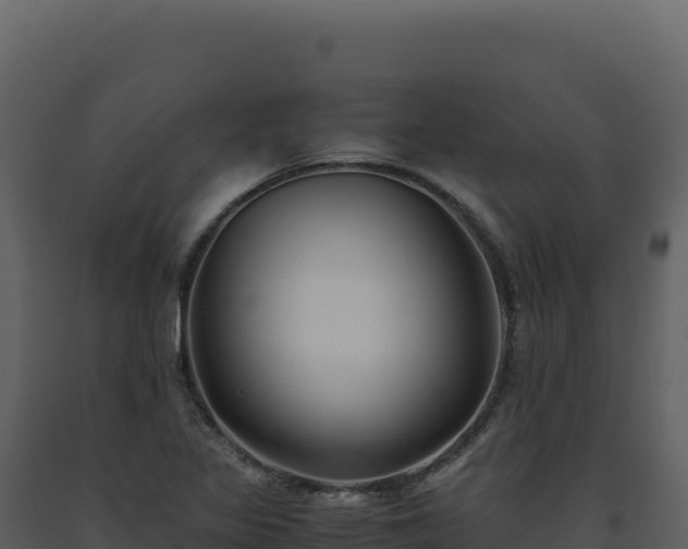 X0000093491317200710191219