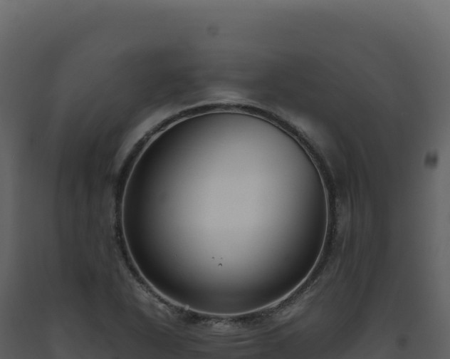 X0000093491318200710191219