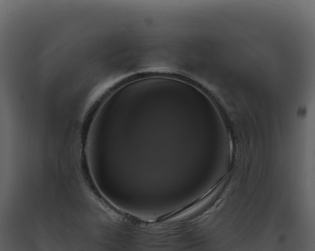 X0000093491319200710191219