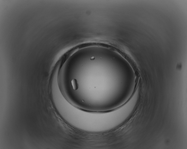 X0000093491320200710191219
