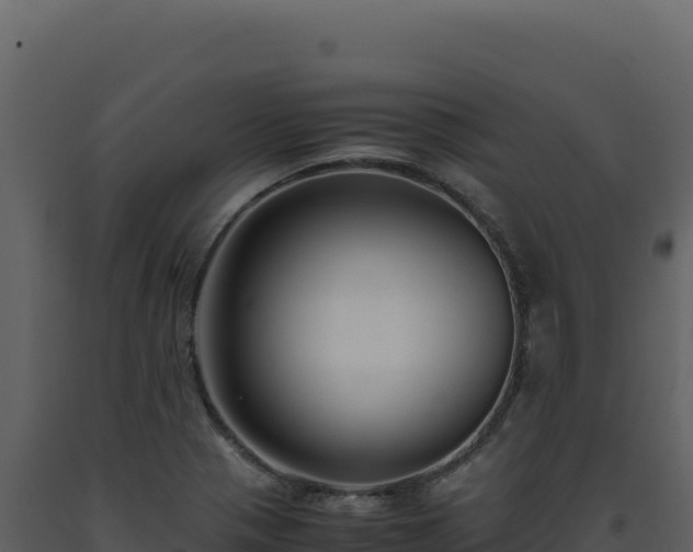 X0000093491321200710191219