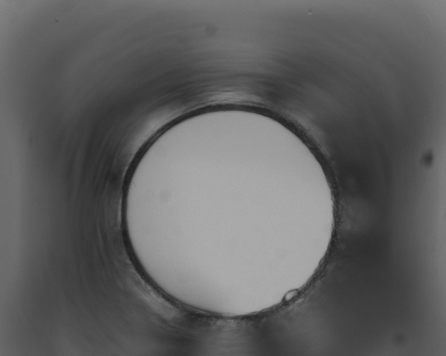 X0000093491322200710191219