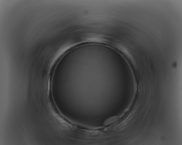 X0000093491323200710191219