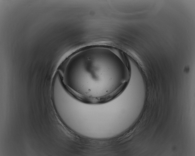 X0000093491324200710191219