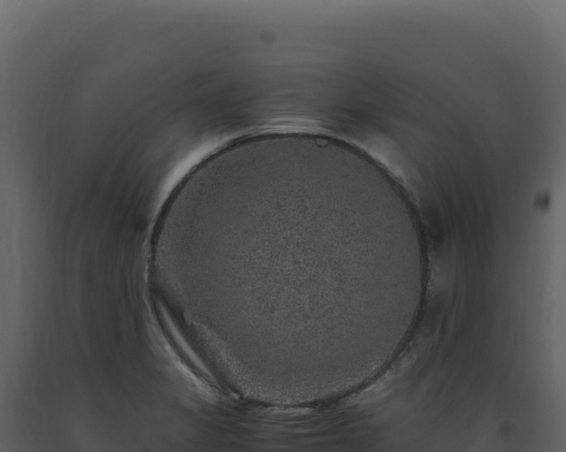 X0000093491325200710191219