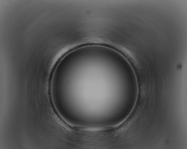 X0000093491326200710191219