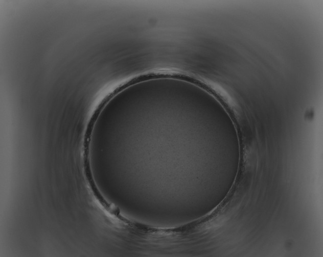 X0000093491327200710191219